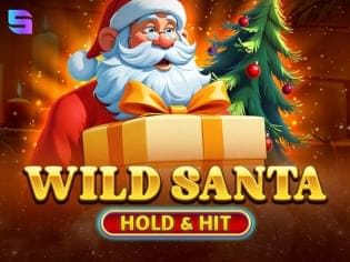 Wild Santa - Hold & Hit thumbnail